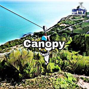 Canopy