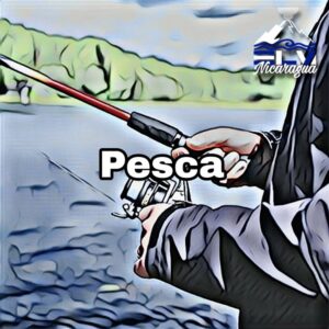 Pesca